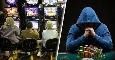 آیا شما در شرط بندی کوسه هستید یا گوسفند؟